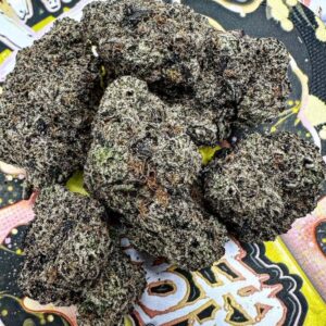 black truffle strain