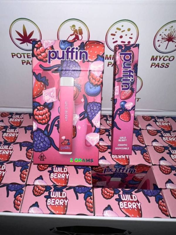 Puffin Disposable